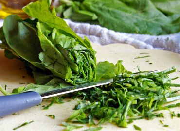 mt-1385-our gallery-img6.jpg